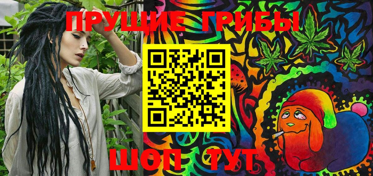 Галлюциногенные грибы Psilocybine cubensis Королёв
