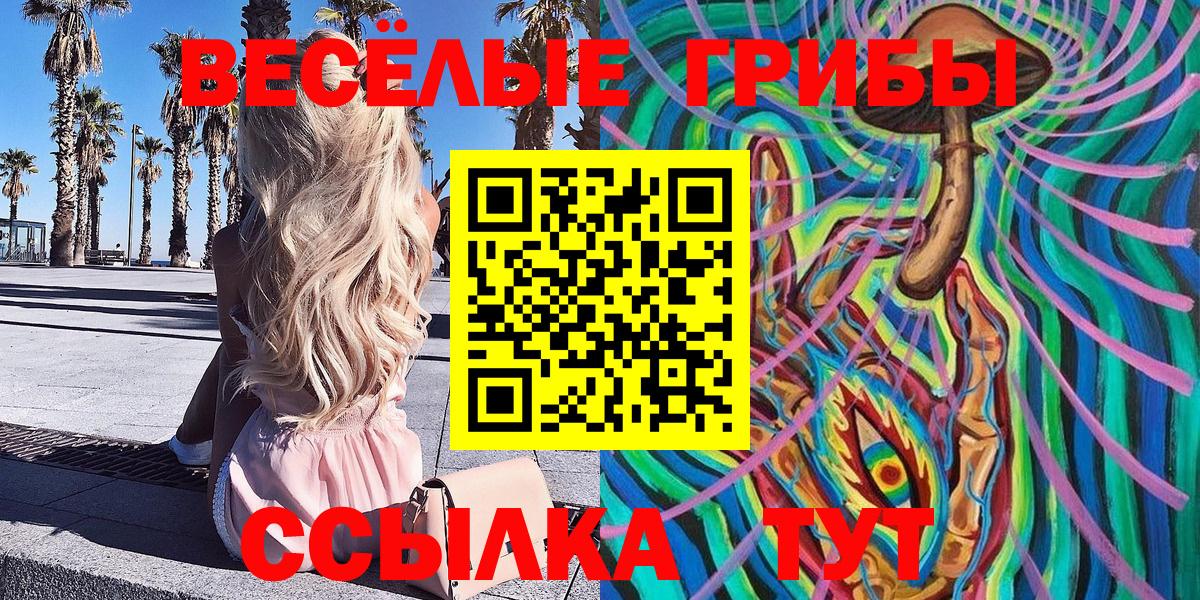 купить наркотик  Вход с VPN  Королёв  Псилоцибиновые грибы Cubensis 