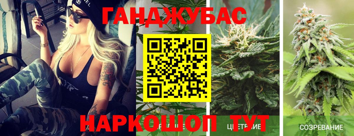 Королёв  Конопля Amnesia  Бошки Шишки семена  Вход с VPN  Шишки марихуана план  Канабис сатива 